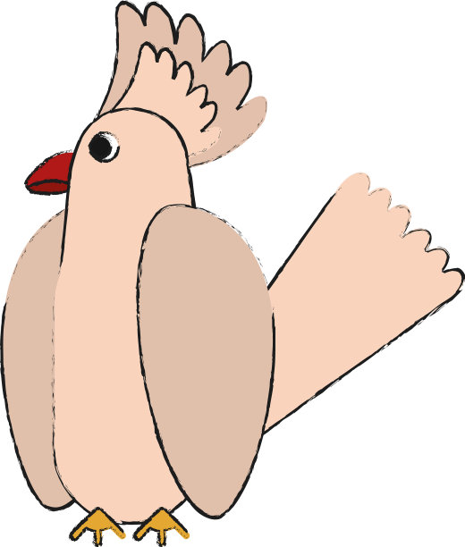 美丽的鹦鹉鸟图片下载