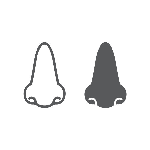 鼻线和字形图标解剖学和生物学图片下载