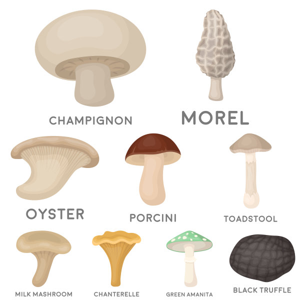 蘑菇设置图标在卡通风格大图片下载