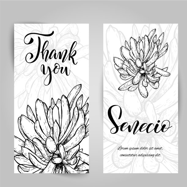 手绘千里光图片下载