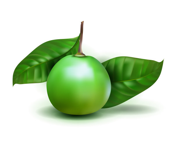 照片逼真的alibertia edulis 3d水果图片下载