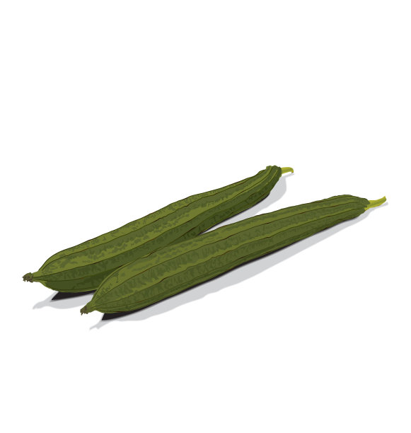 鲁法阿库坦图拉图片下载