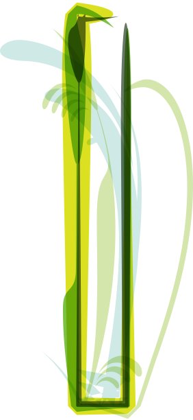 绿色的信图片下载