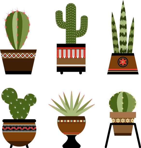 六盆带有装饰的仙人掌图片下载