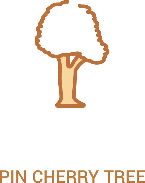 别针樱桃树概念2彩色图标简单图片下载