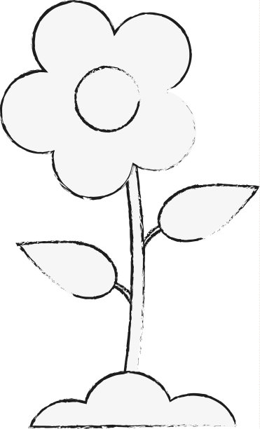 美丽的花了图片下载