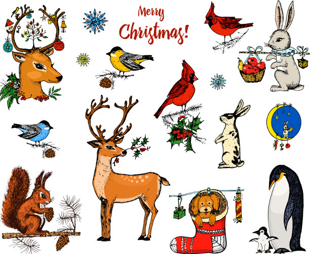 圣诞有角鹿、松鼠和新动物图片下载
