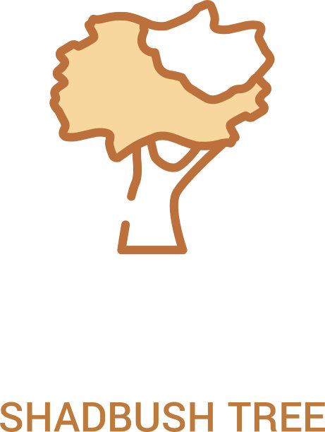 梧桐概念2彩色图标简单线条图片下载