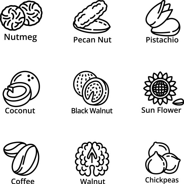 素食坚果图标设置轮廓风格图片下载