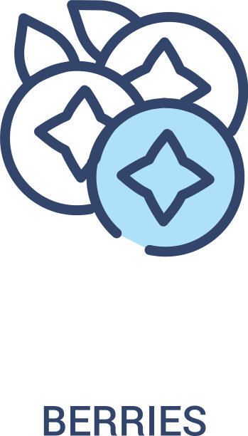 浆果概念2彩色图标简单线条图片下载