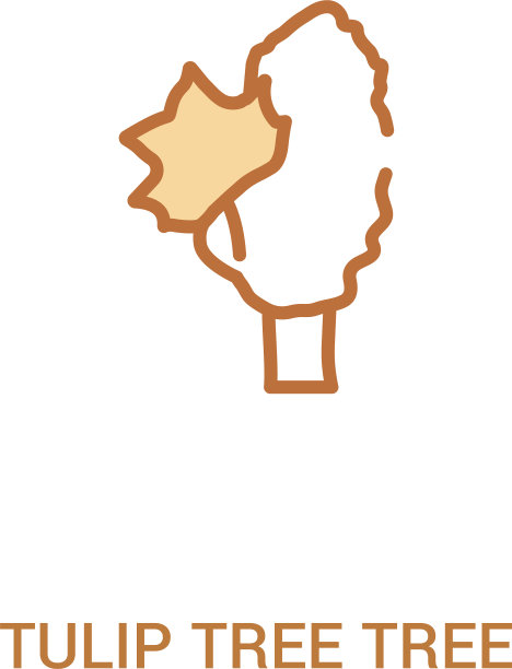 郁金香树树概念2彩色图标简单图片下载