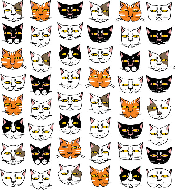 有趣的猫在口鼻图片下载