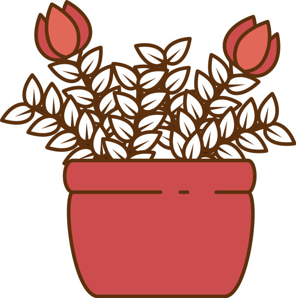 玫瑰室内盆栽图片下载