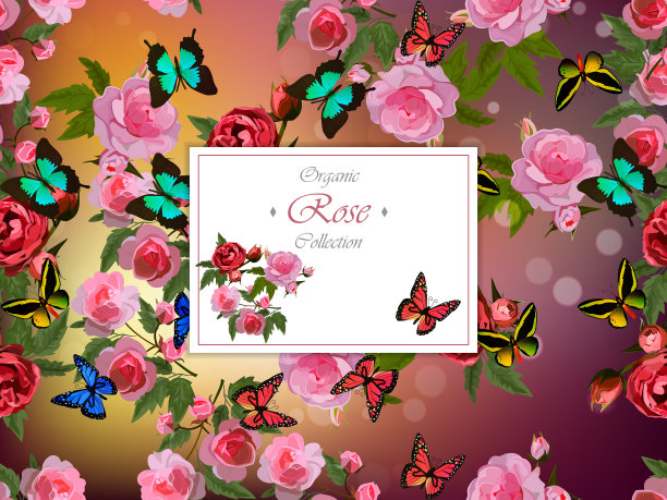 玫瑰和蝴蝶图片下载