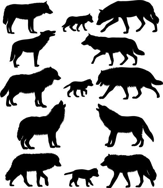 狼和幼狼的剪影图片下载