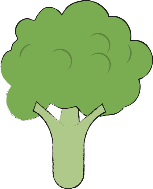 西兰花新鲜蔬菜图片下载