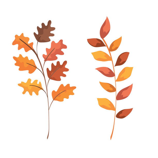 设自然枝叶植物图片下载