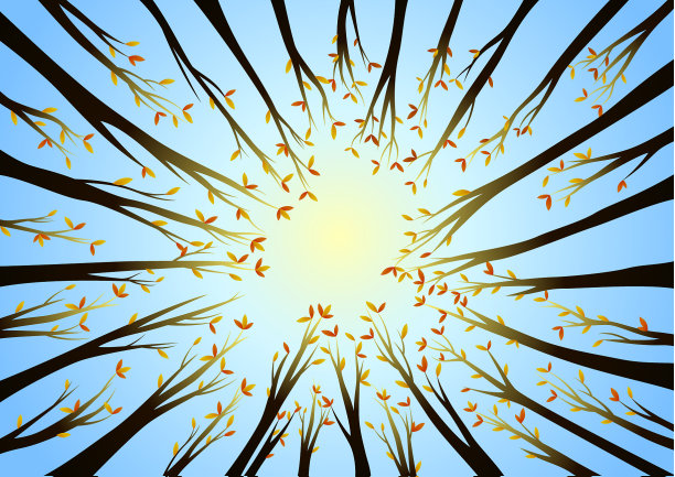 秋天的树梢图片下载