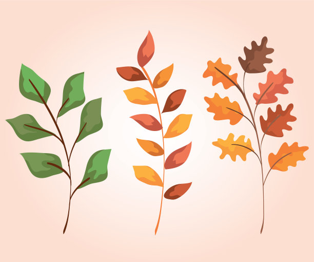 设置天然枝叶植物图片下载