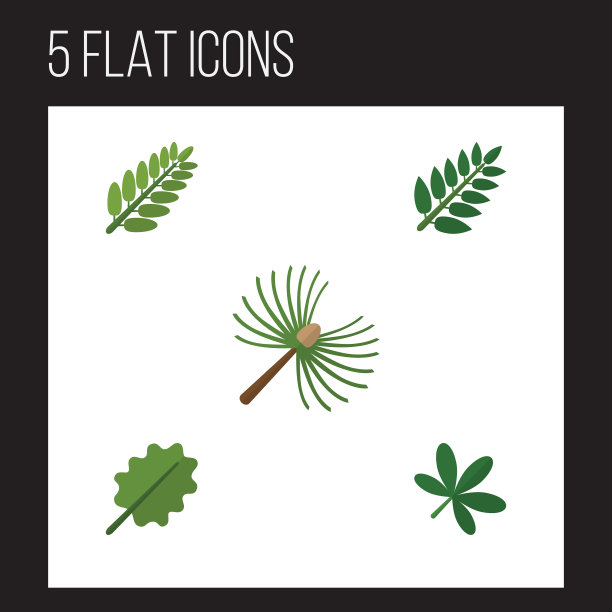 平图标自然设置桤木迷迭香金合欢图片下载