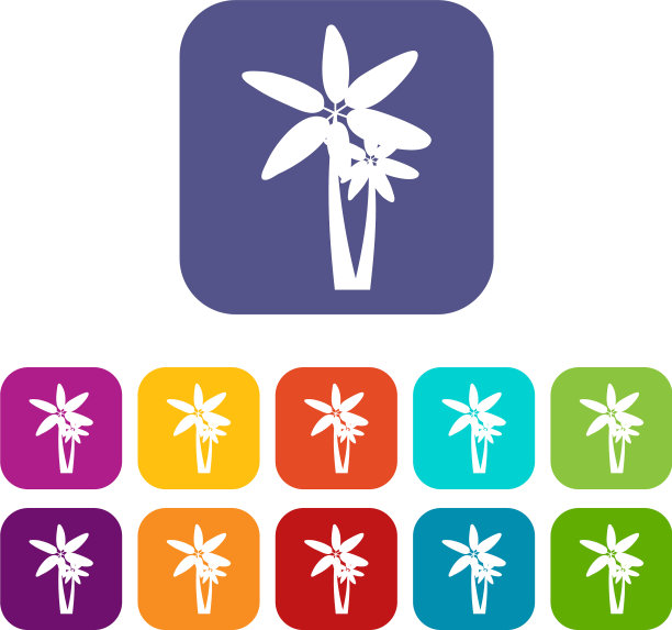 两棵棕榈树图标集图片下载