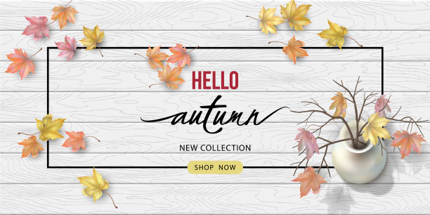 秋季俯视图背景图片下载