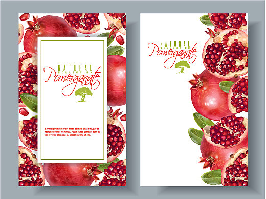 石榴垂直圆形横幅图片下载