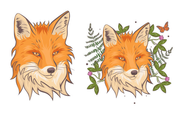 一头狐狸围着三叶草和蕨类植物图片下载