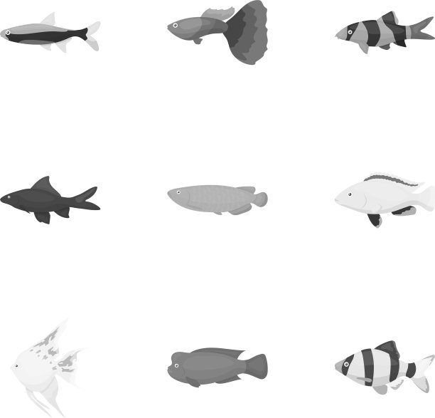 水族鱼集图标在黑白风格大图片下载