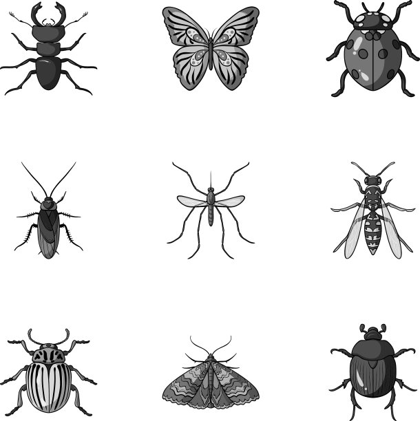 昆虫设置图标在单色风格大图片下载