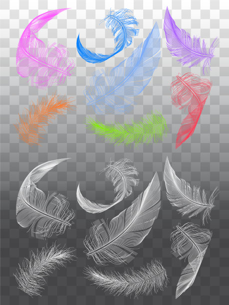飞羽集平面设计元素图片下载