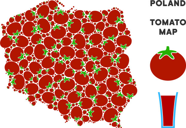 波兰西红柿地图组成图片下载