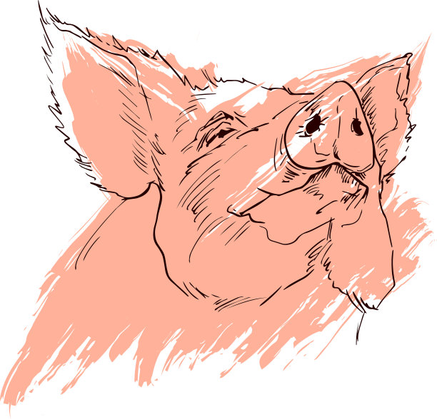 黑色的猪轮廓和粉红色的垃圾色图片下载