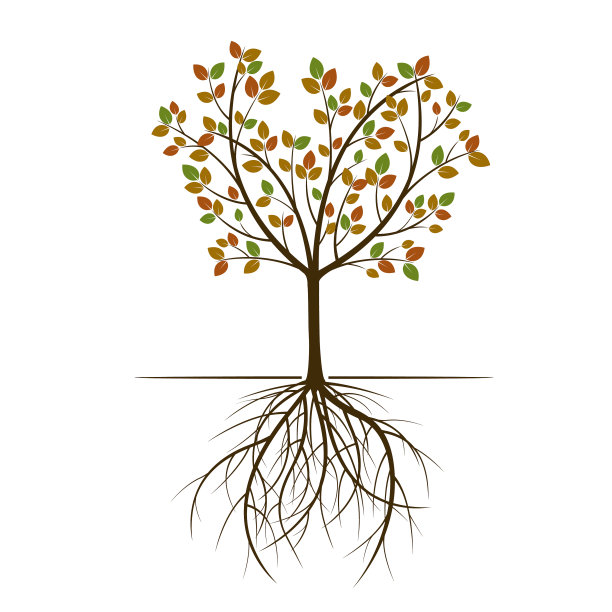 秋天春天树图片下载