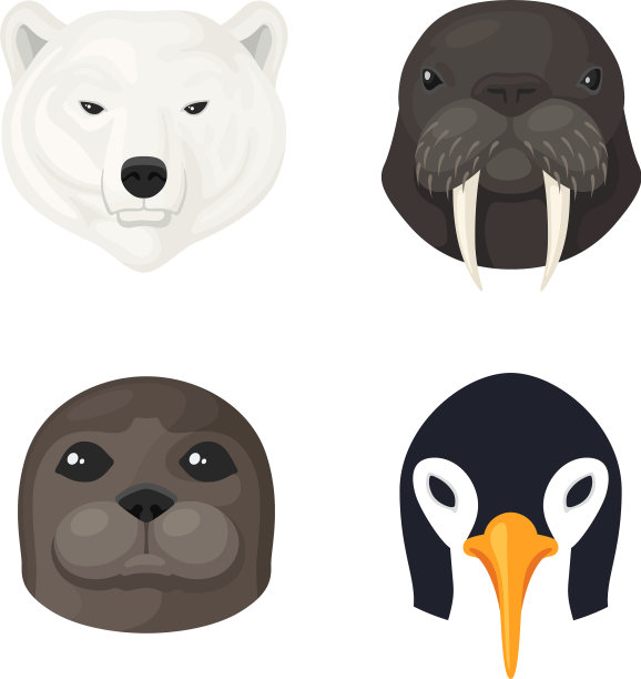 极地动物组图片下载