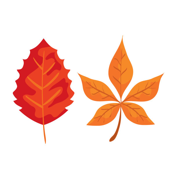 设置自然落叶植物秋季图片下载