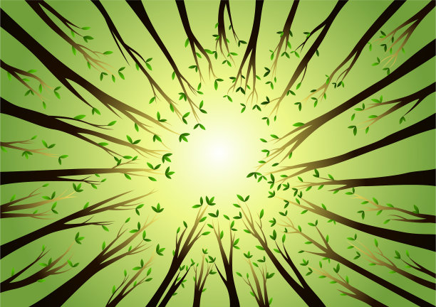 秋天的树梢图片下载