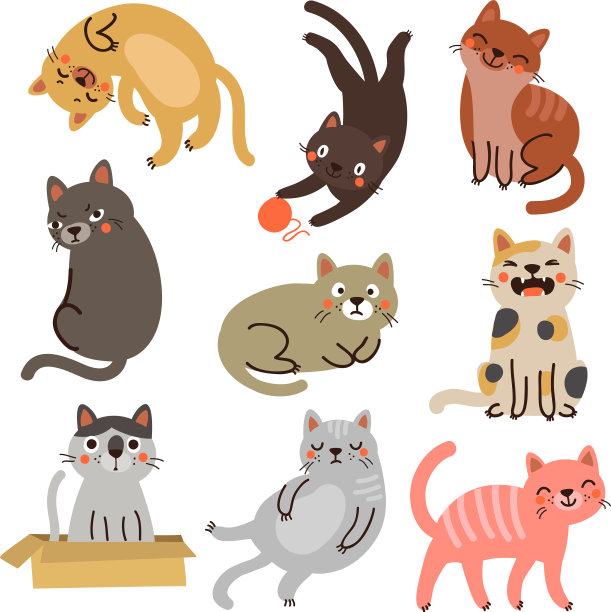 猫组集合图片下载