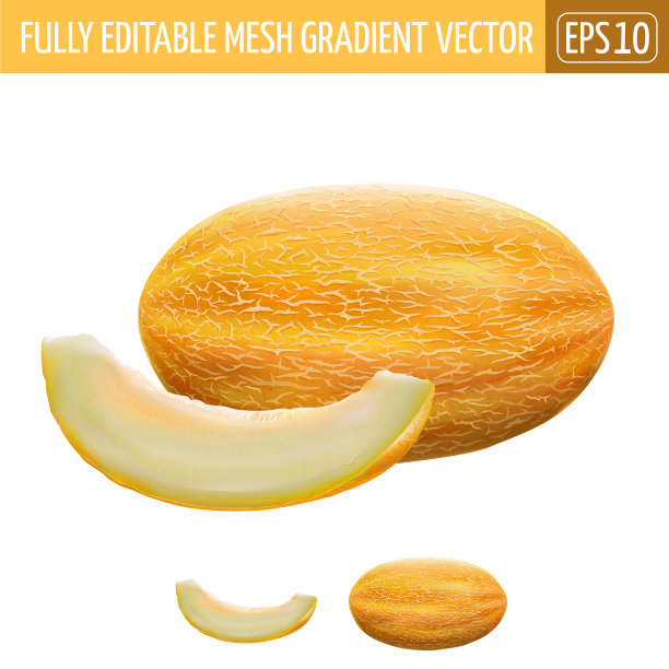 白底甜瓜图片下载