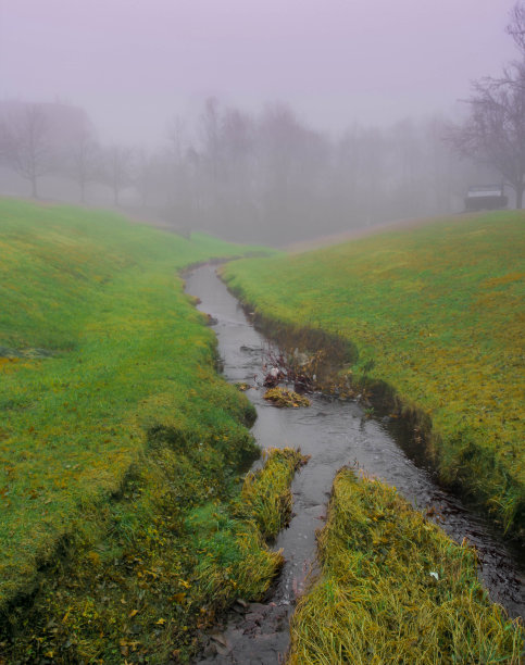 一个雾蒙蒙的早晨图片下载
