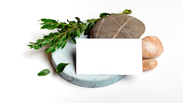 真实的照片，名片品牌模型模板，孤立在白色背景，与蓝色混凝土和海石，花卉元素放置您的设计图片下载