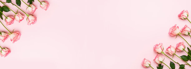 横幅。粉红色背景上的粉红色玫瑰花束。母亲节，情人节，生日庆祝概念。贺卡。拷贝空间，俯视图。图片下载