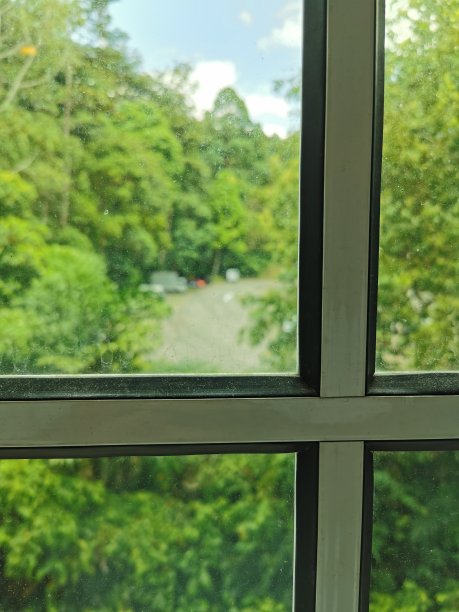 清晨窗外新鲜的绿色景色图片下载