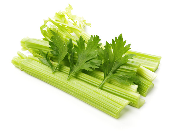 芹菜素材图片