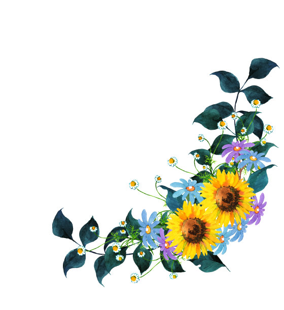 向日葵装饰图片下载