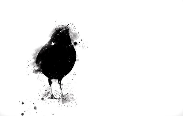 鸟类。分散,飞溅的效果。白色背景。图片下载