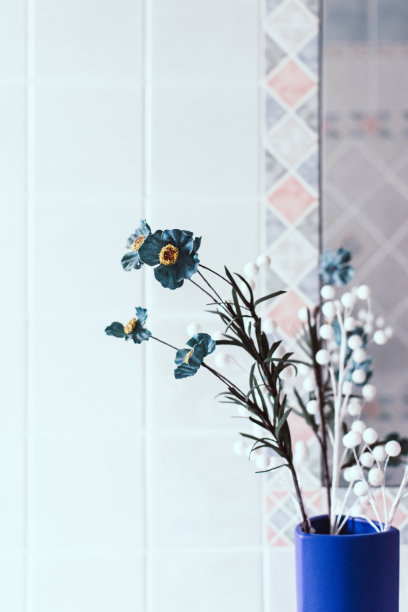 浴室室内植物细节图片下载