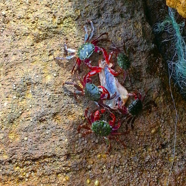 在一起图片下载