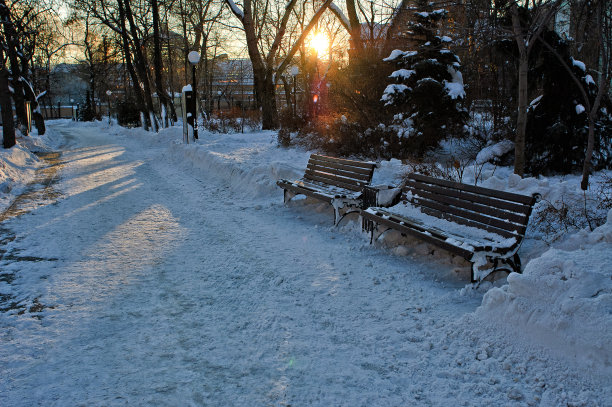 公园里霜冻的夜晚图片下载