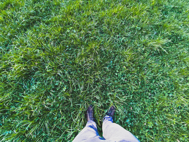 站在草地上的人图片下载